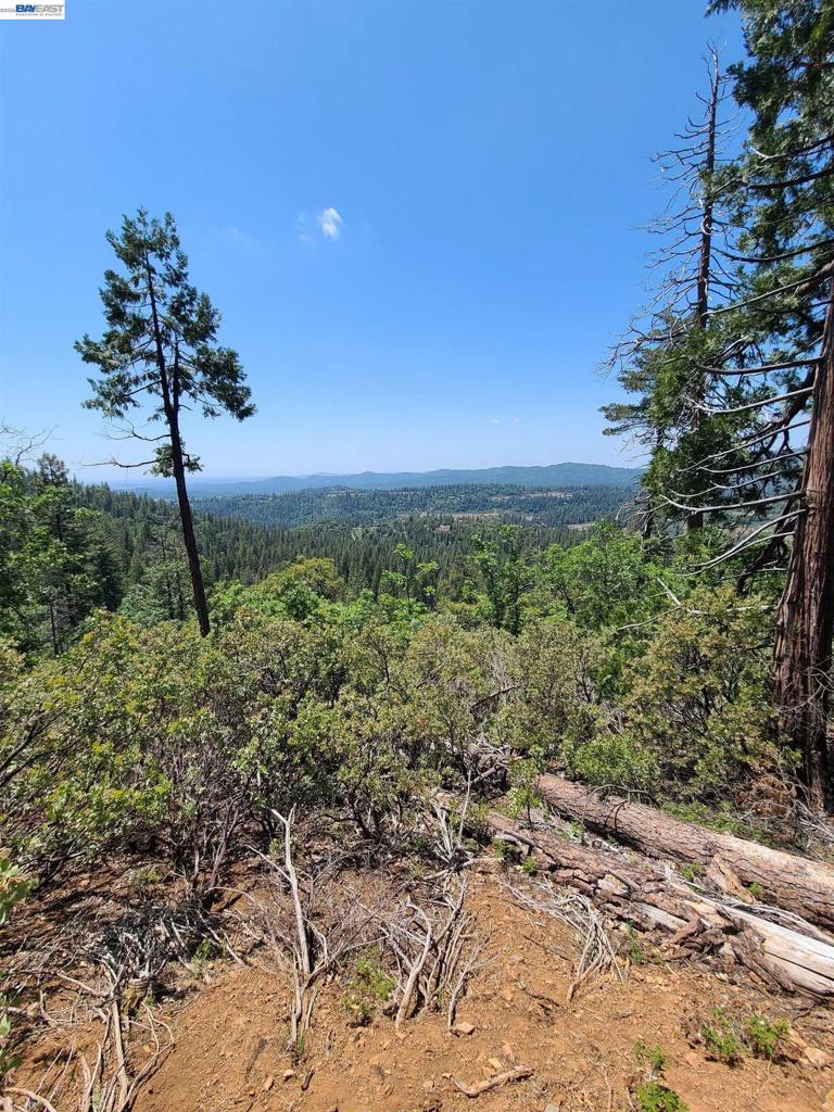 20800 Mount Provo Road Property Photo 8