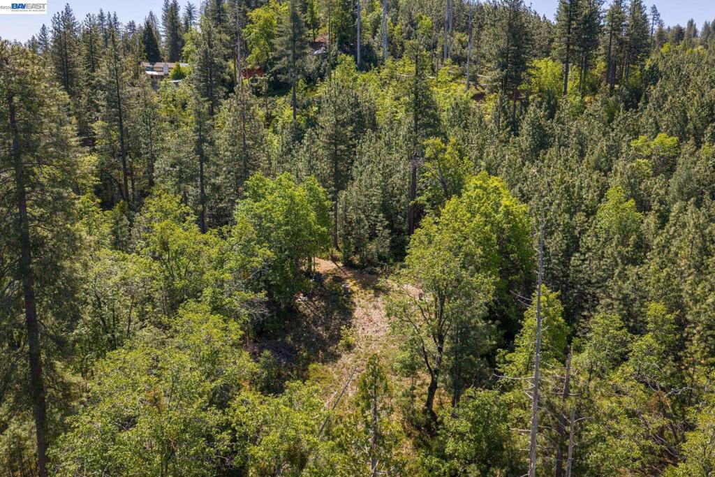 20800 Mount Provo Road Property Photo 10