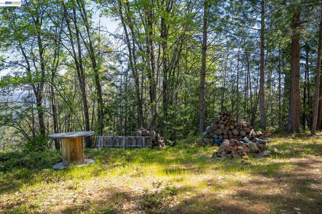 20800 Mount Provo Road Property Photo 11