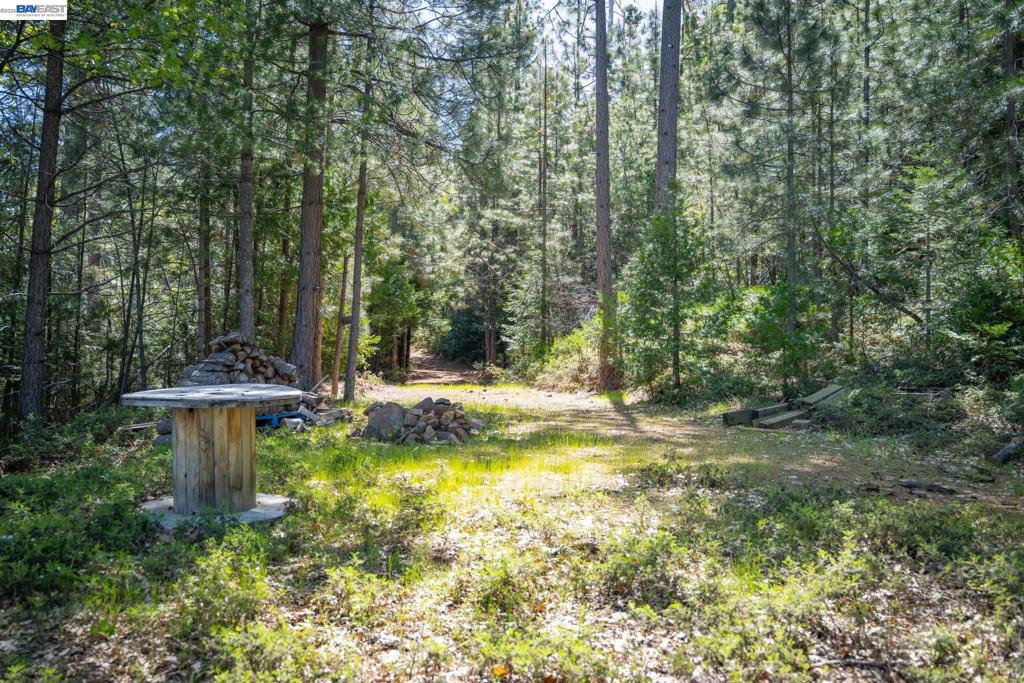 20800 Mount Provo Road Property Photo 13