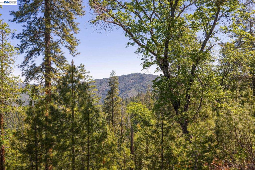 20800 Mount Provo Road Property Photo 15