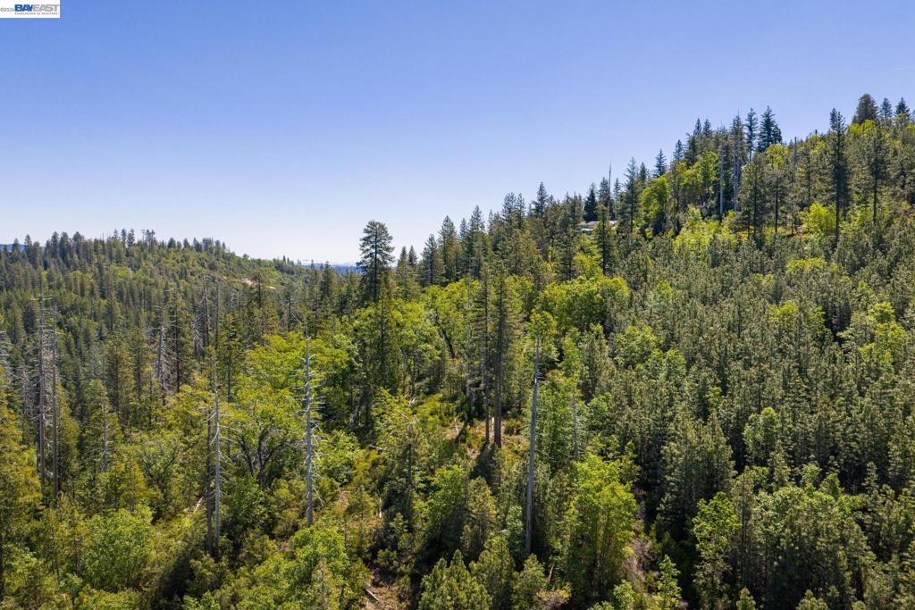 20800 Mount Provo Road Property Photo 17