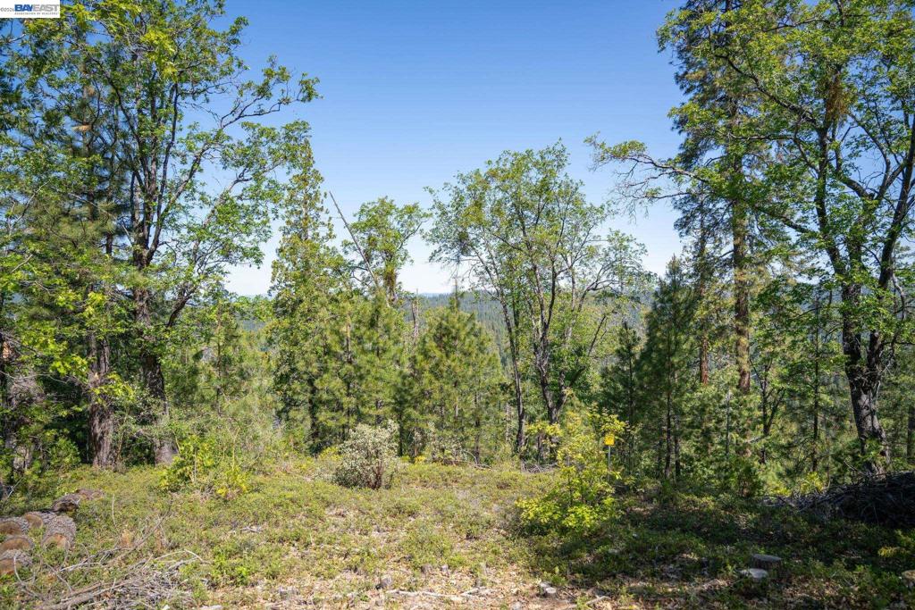 20800 Mount Provo Road Property Photo 19