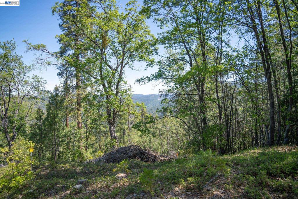 20800 Mount Provo Road Property Photo 20