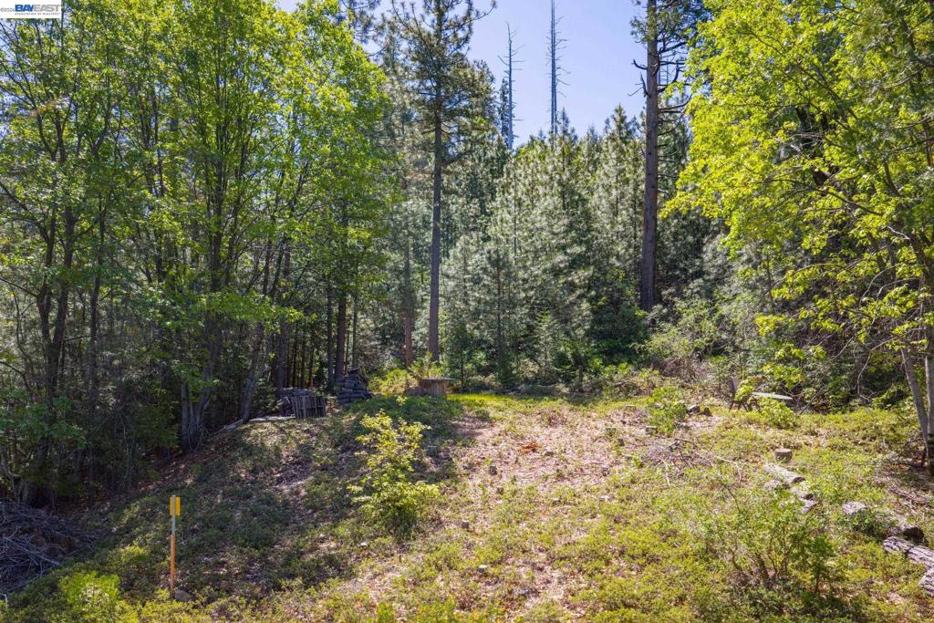 20800 Mount Provo Road Property Photo 23