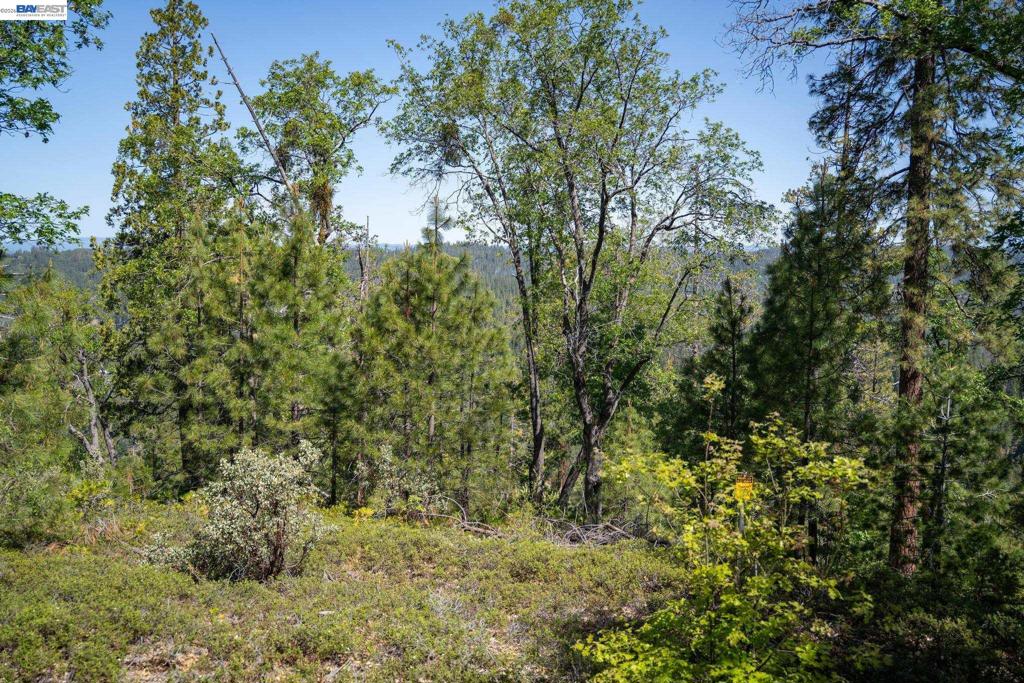 20800 Mount Provo Road Property Photo 24