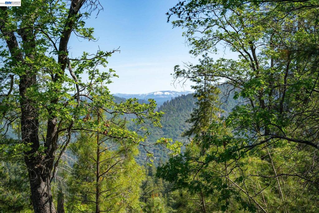 20800 Mount Provo Road Property Photo 25