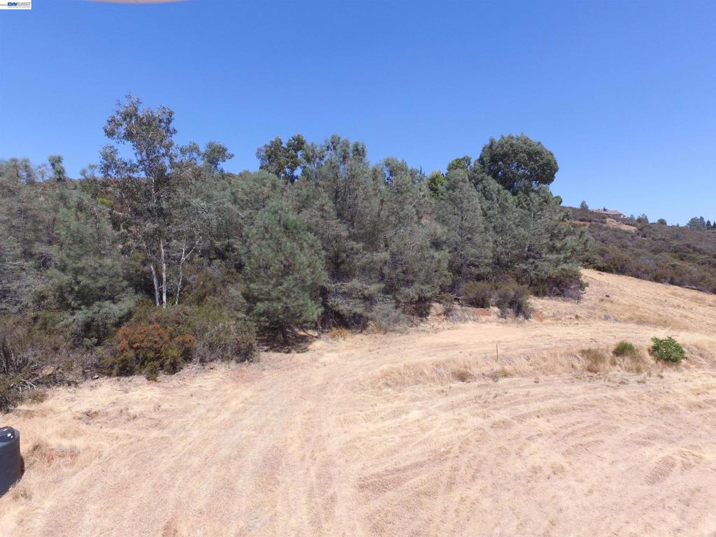 3341 Rancho Tierra Ct Property Photo 22
