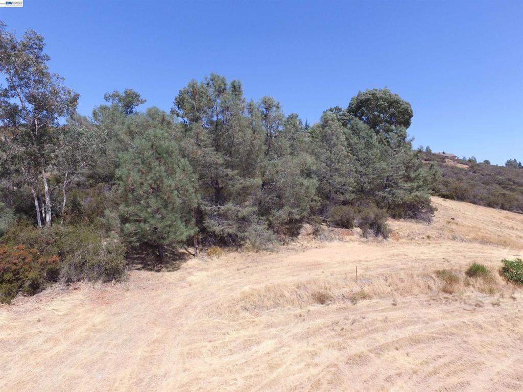 3341 Rancho Tierra Ct Property Photo 23