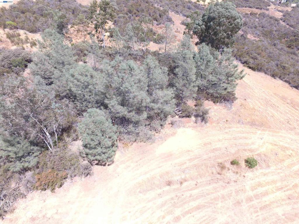 3341 Rancho Tierra Ct Property Photo 24