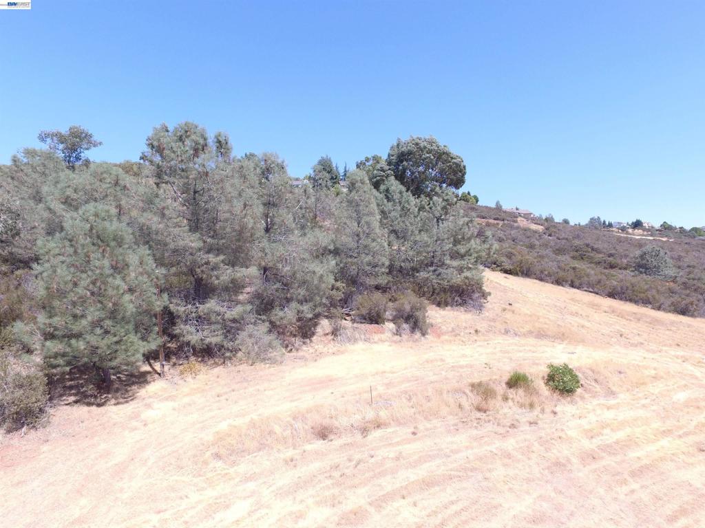3341 Rancho Tierra Ct Property Photo 26