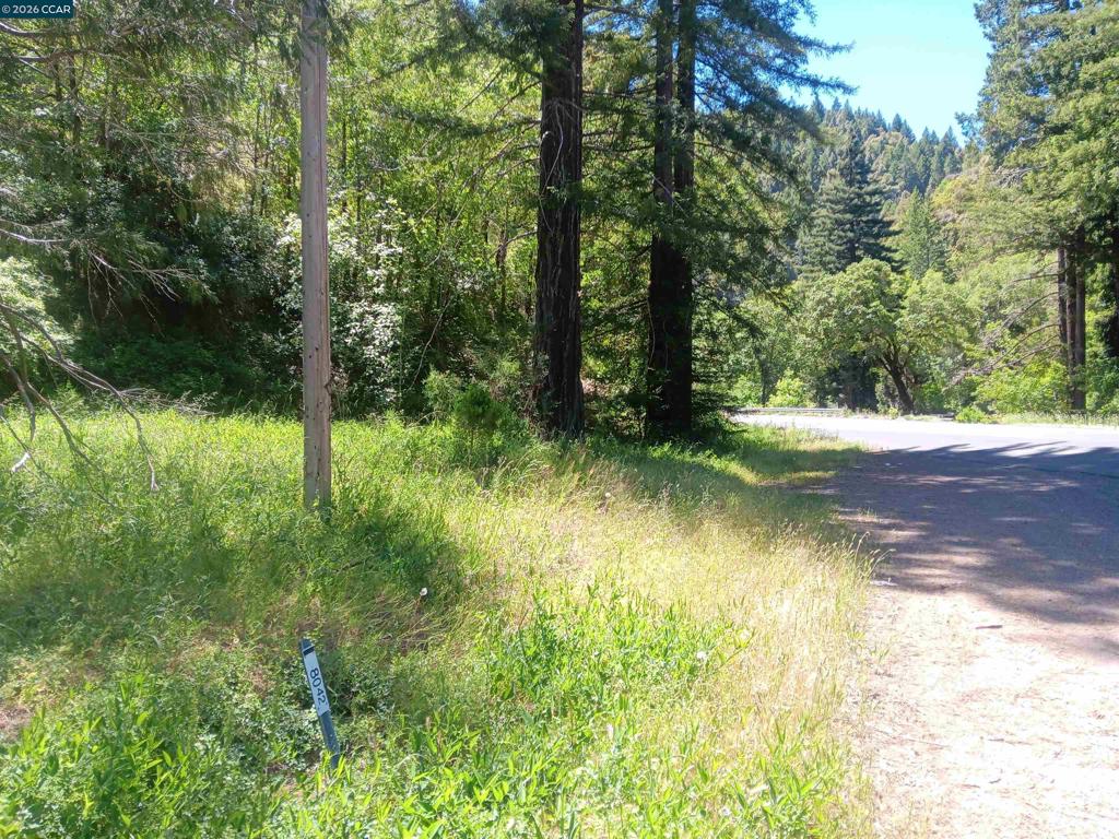 56025 N Highway 101 Property Photo 3