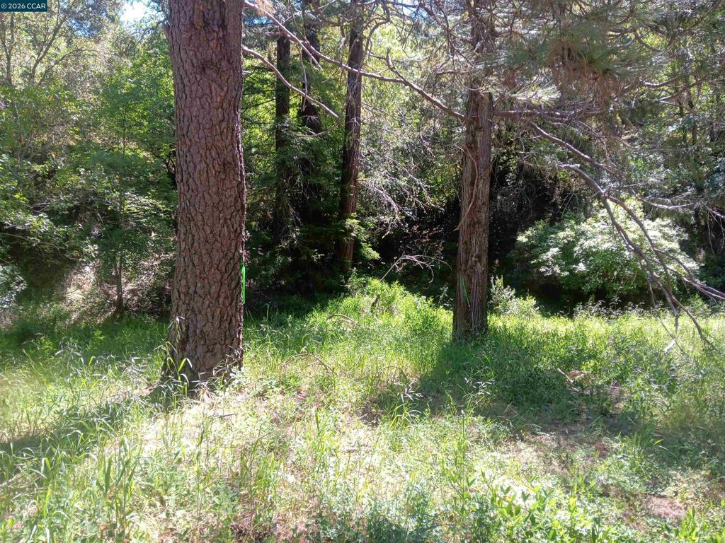 56025 N Highway 101 Property Photo 5