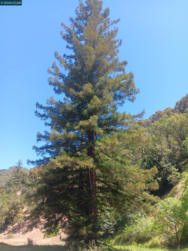 56025 N Highway 101 Property Photo 6