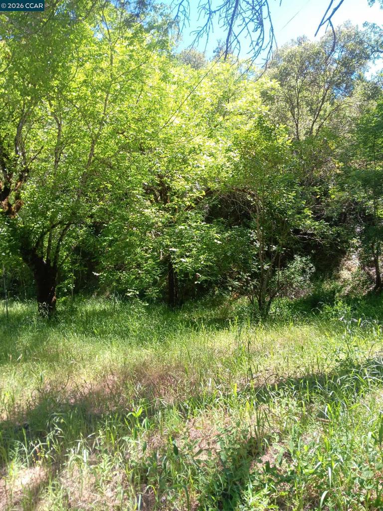 56025 N Highway 101 Property Photo 7