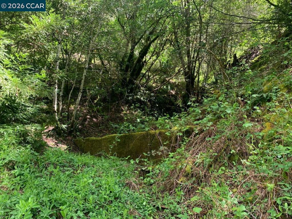 56025 N Highway 101 Property Photo 9