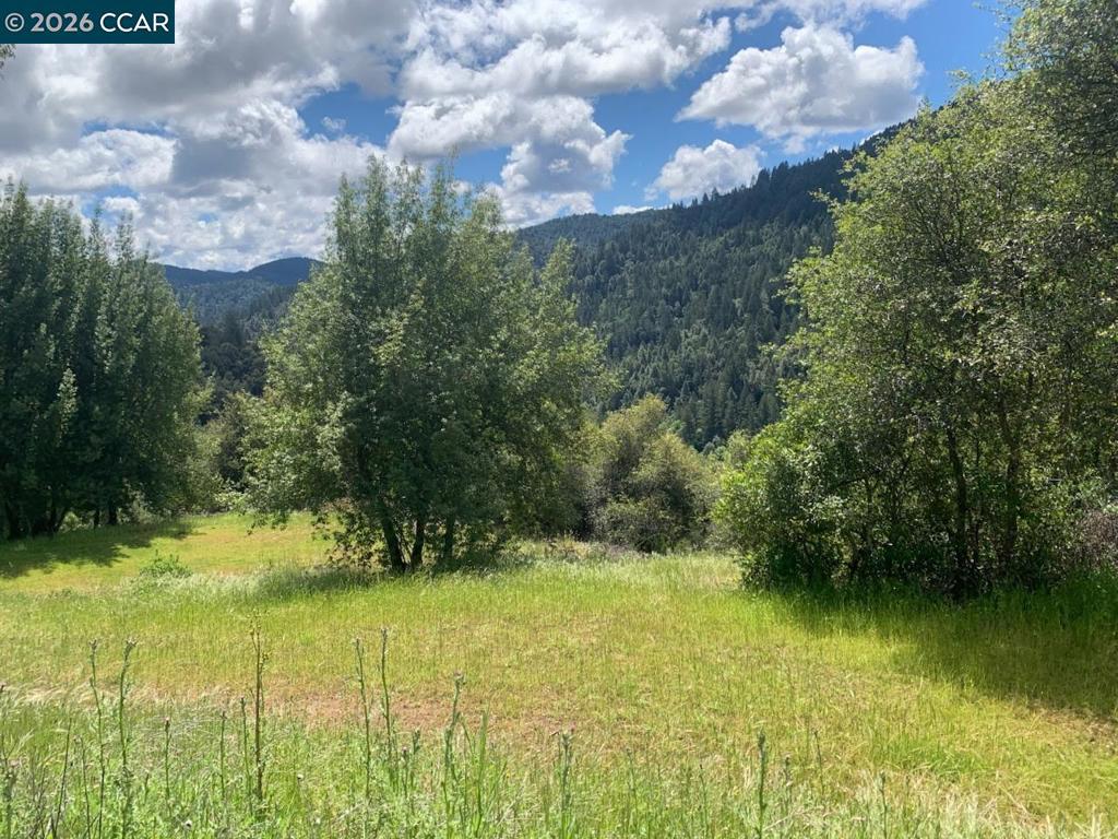 56025 N Highway 101 Property Photo 13