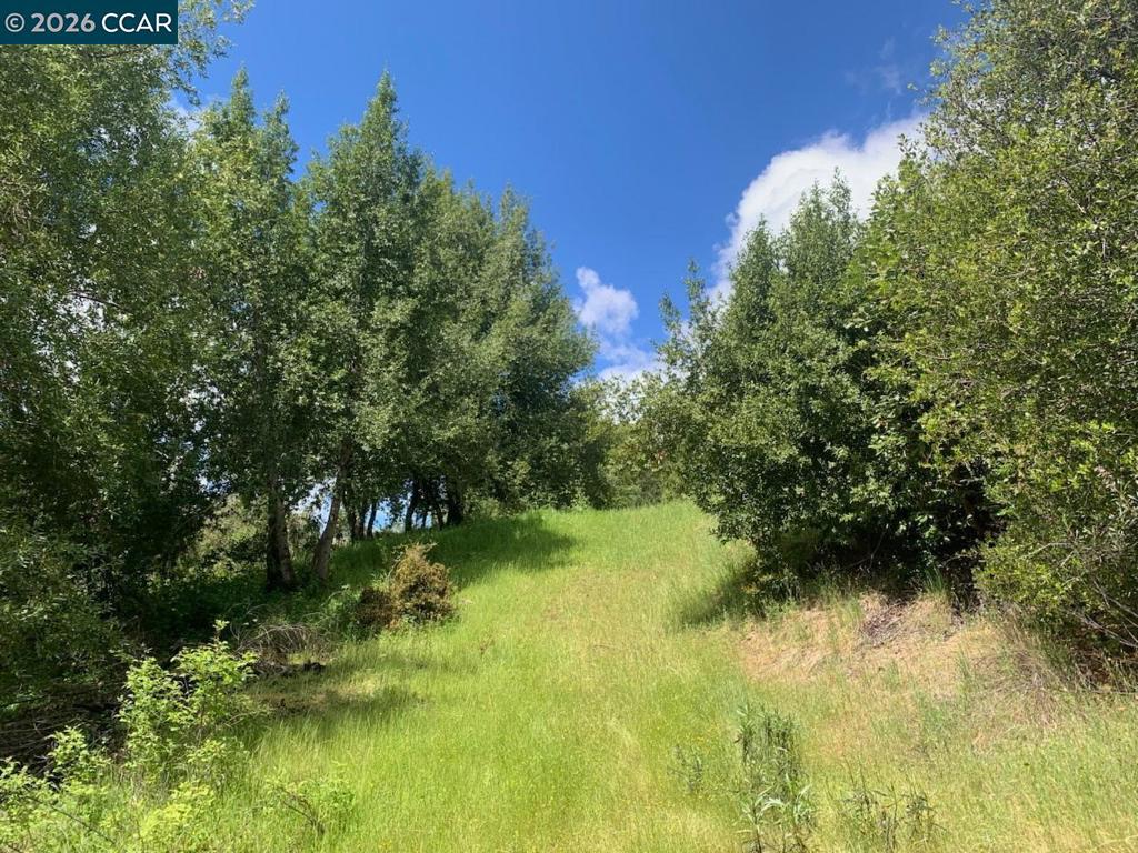 56025 N Highway 101 Property Photo 14
