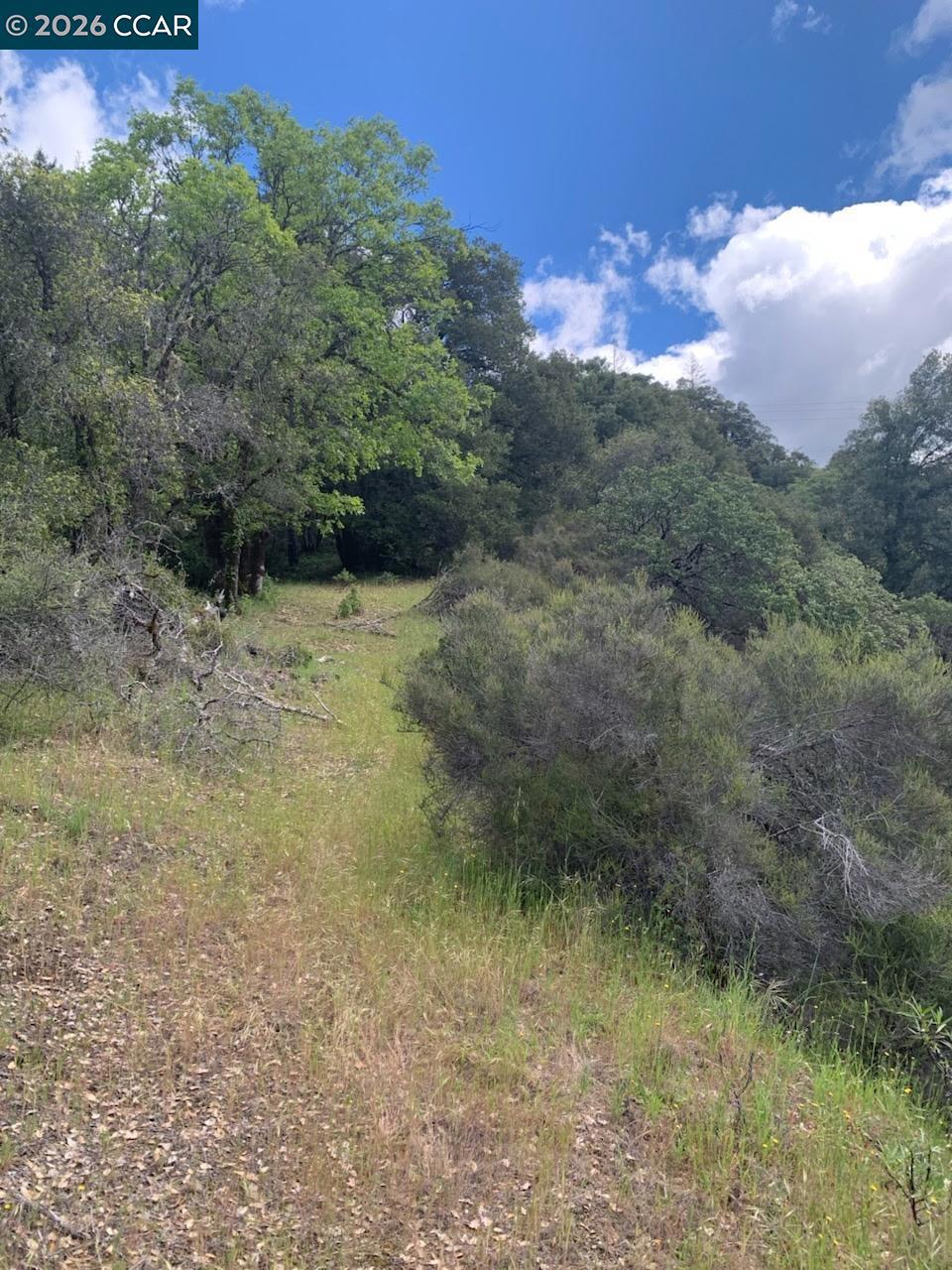 56025 N Highway 101 Property Photo 20