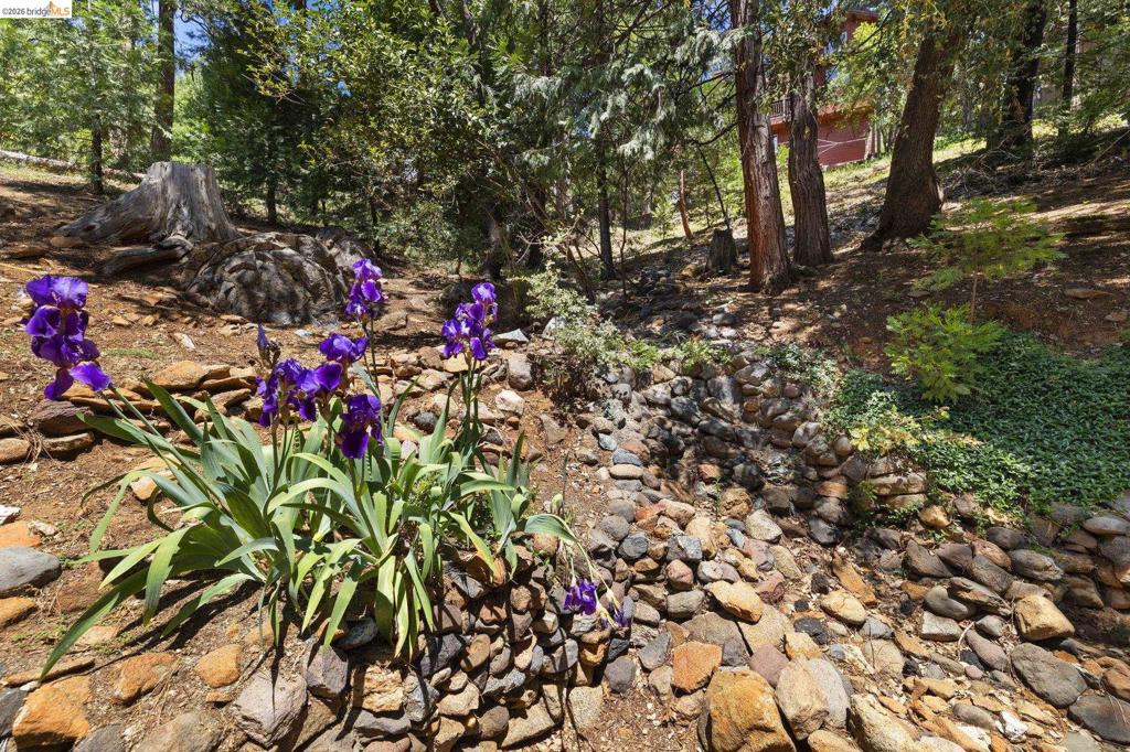 20836 Hiki Pl. Property Photo 29