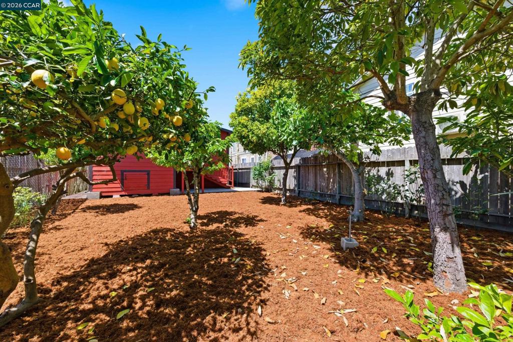10 12th Street Property Photo 38