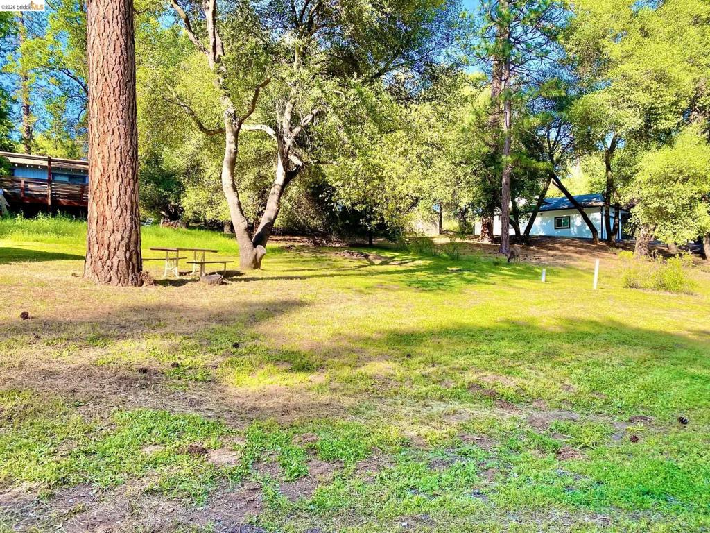 13209 Mueller Drive Property Photo 19