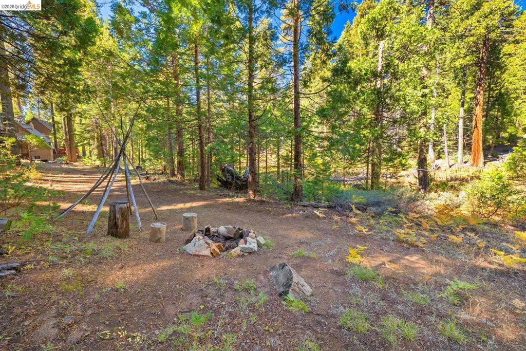 105 Pinecrest Lake Rd Property Photo 35
