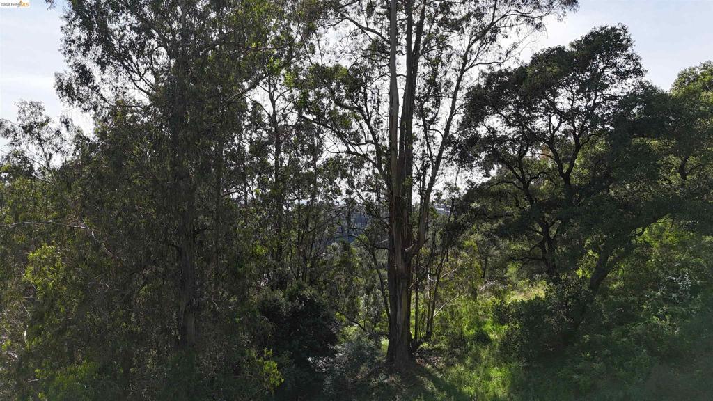 2551 Tunnel Rd Property Photo 4
