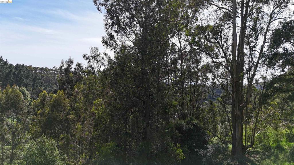 2551 Tunnel Rd Property Photo 5