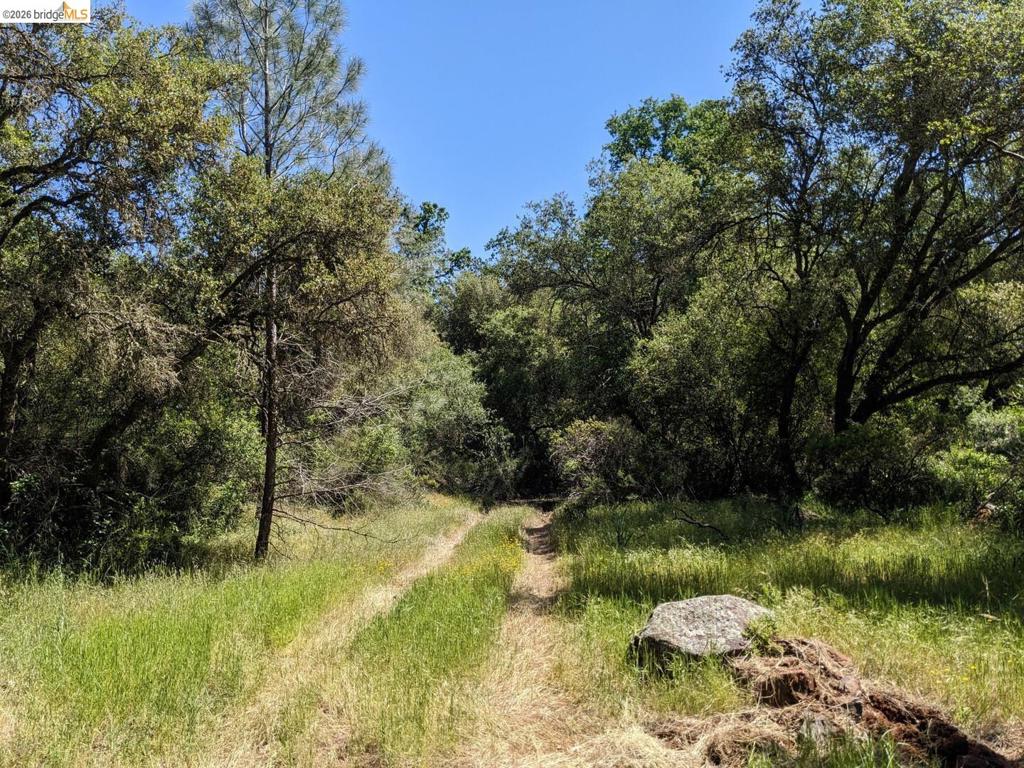 4095 Green Valley Rd Property Photo 4