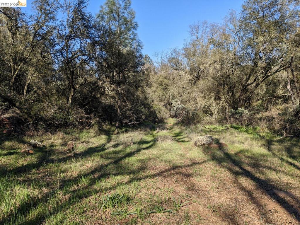 4095 Green Valley Rd Property Photo 17