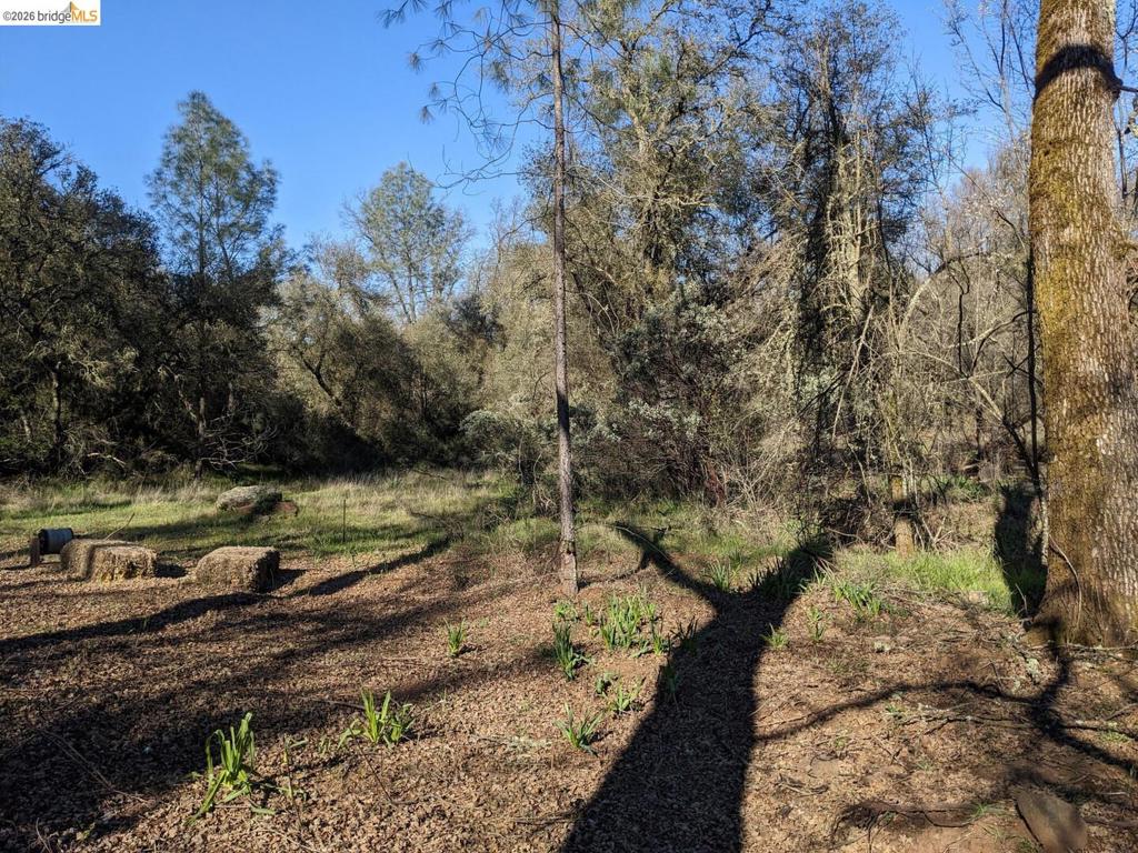 4095 Green Valley Rd Property Photo 18