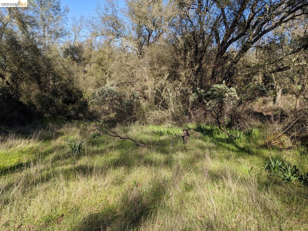 4095 Green Valley Rd Property Photo 19
