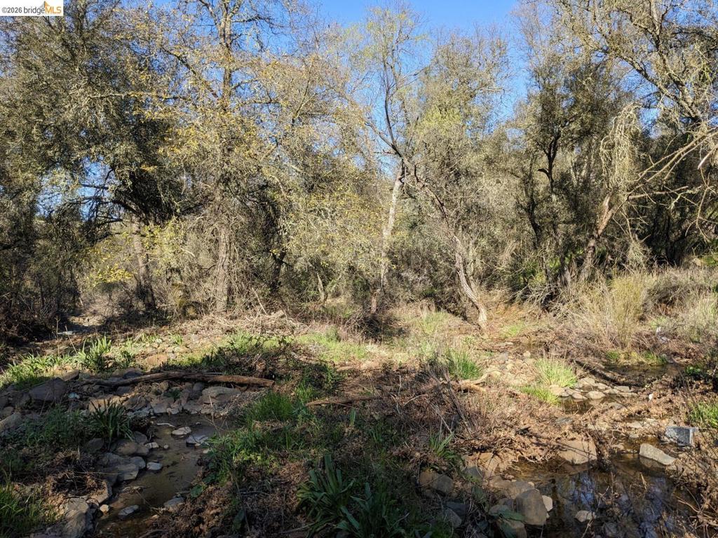 4095 Green Valley Rd Property Photo 21