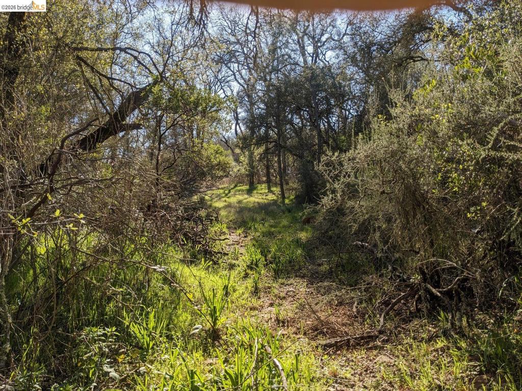 4095 Green Valley Rd Property Photo 22