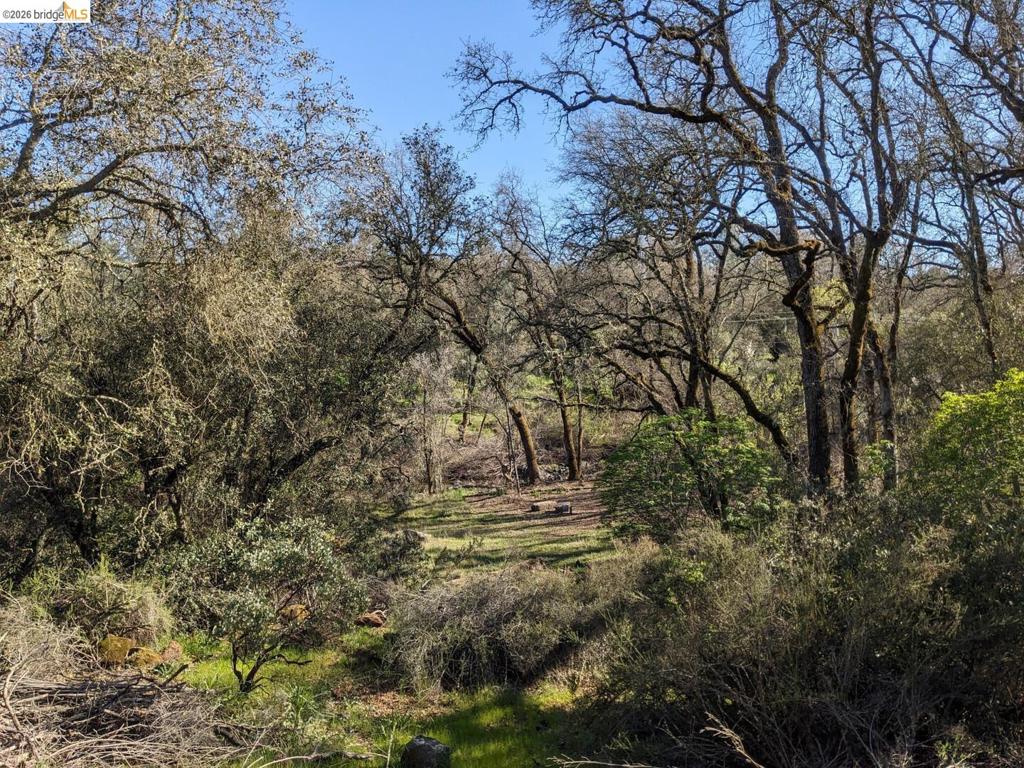 4095 Green Valley Rd Property Photo 23