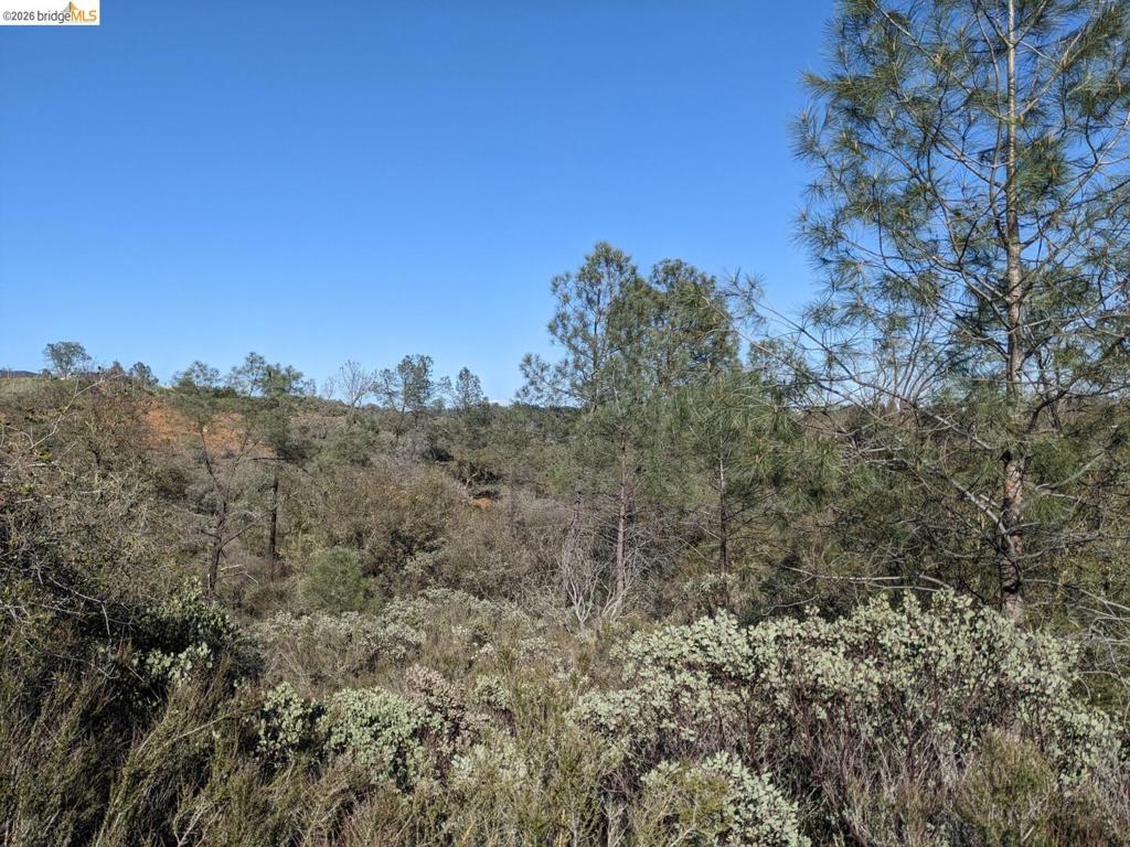 4095 Green Valley Rd Property Photo 28