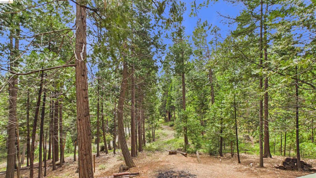 20735 Telele Trail Property Photo 21