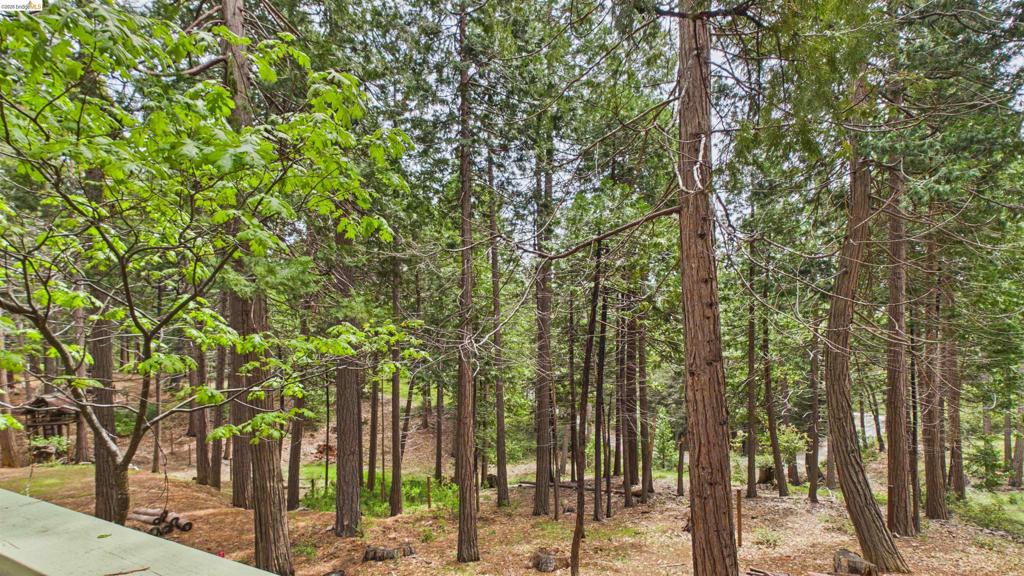 20735 Telele Trail Property Photo 22