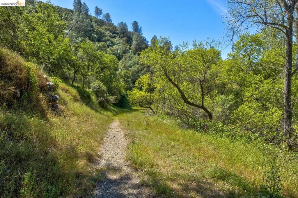 4780 Mary Harrison Mine Rd Property Photo 58