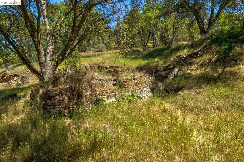 4780 Mary Harrison Mine Rd Property Photo 59
