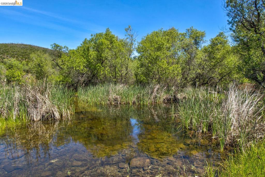 4780 Mary Harrison Mine Rd Property Photo 65