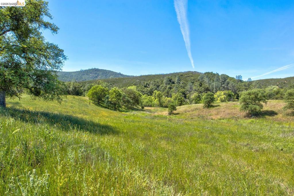 4780 Mary Harrison Mine Rd Property Photo 73