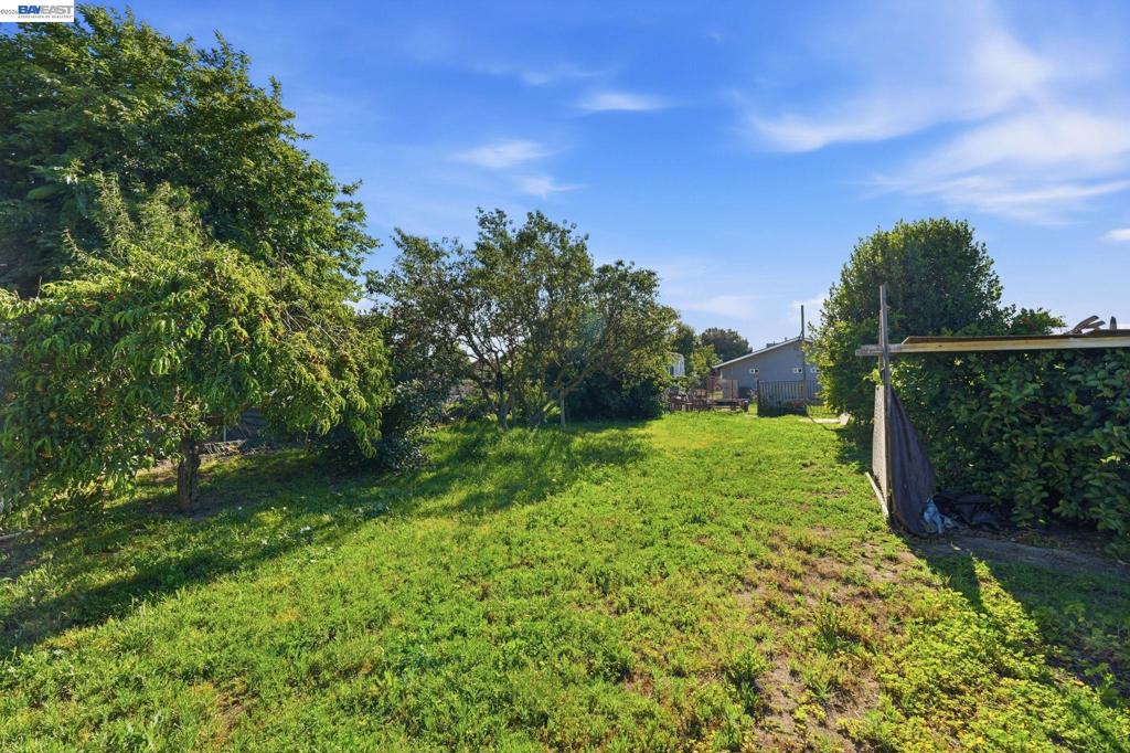 10378 S Priest Property Photo 44