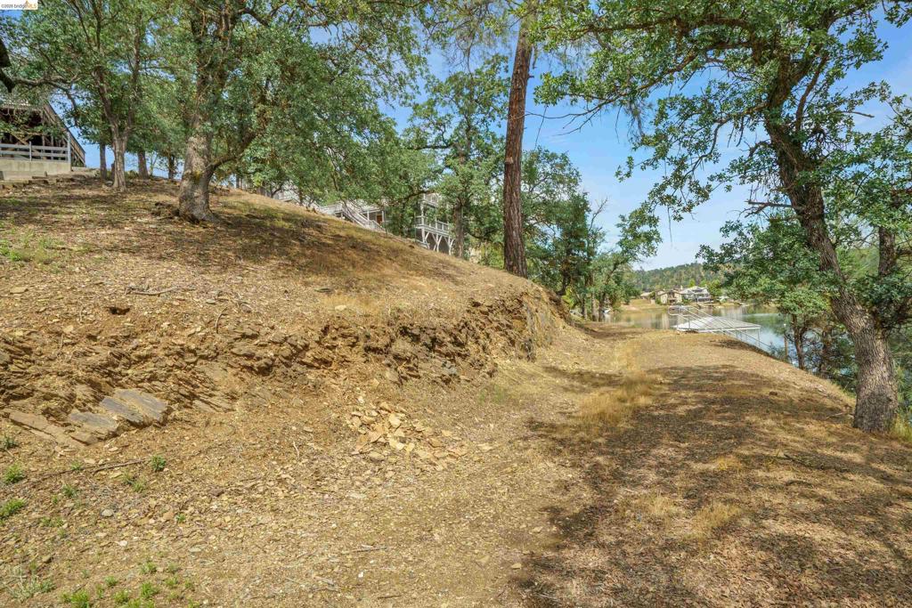 4459 Council Trl Property Photo 13