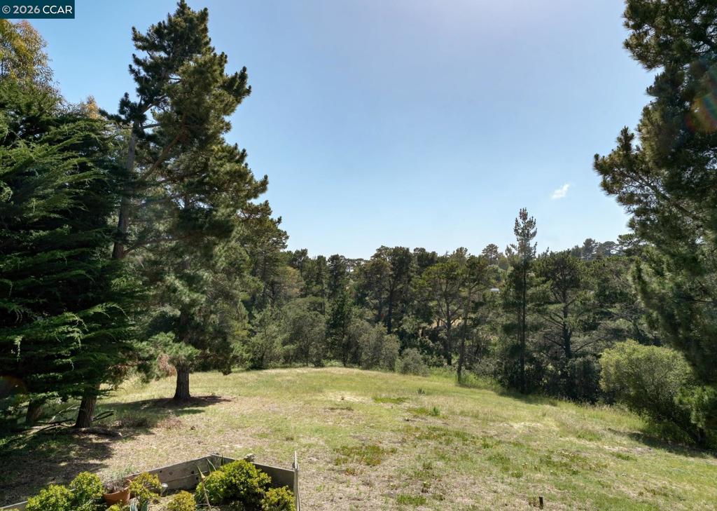 25580 Chiquito Pl Property Photo 33