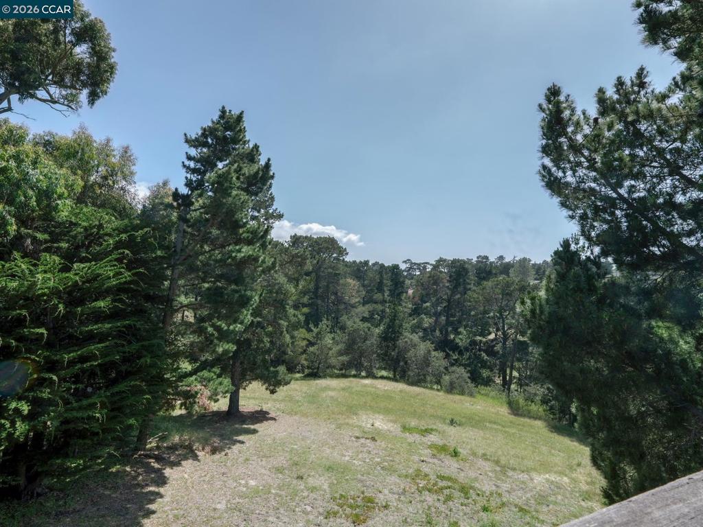 25580 Chiquito Pl Property Photo 35