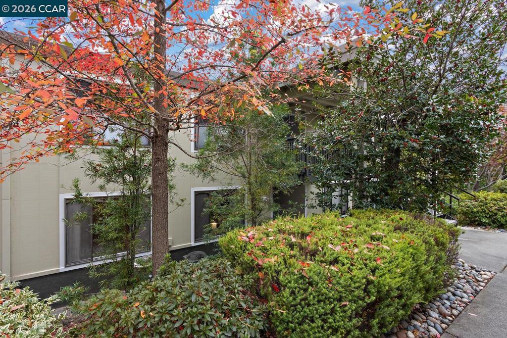 2709 Golden Rain Road 6 Property Photo 24