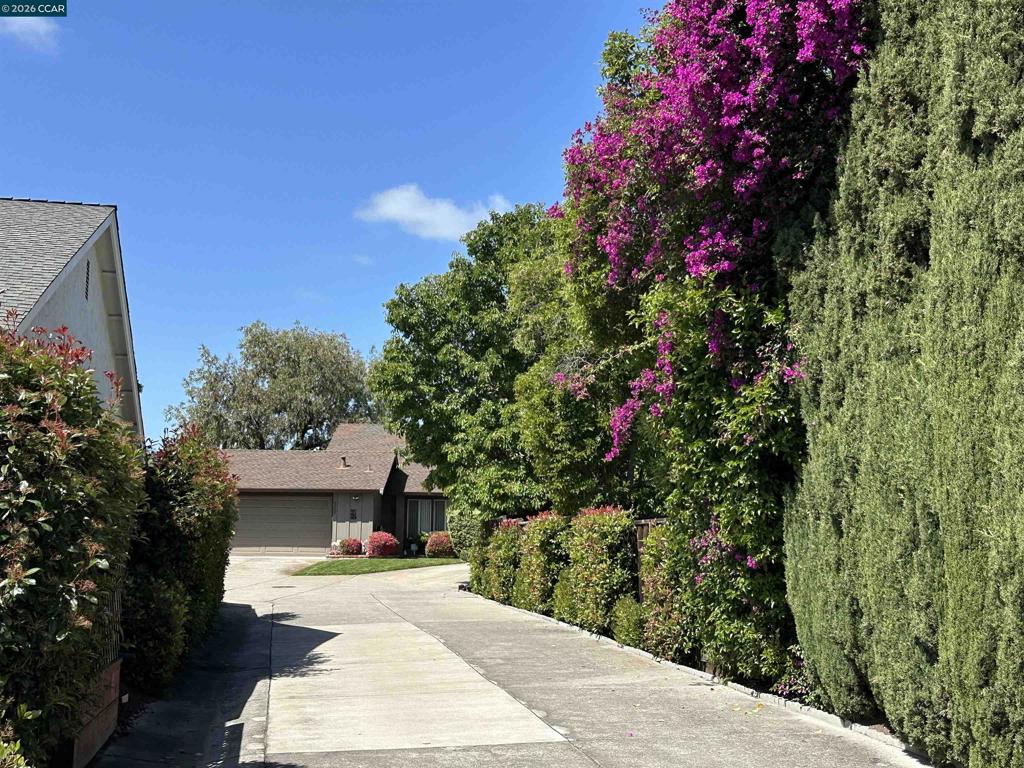 4864 Shadowfalls Dr Property Photo 2