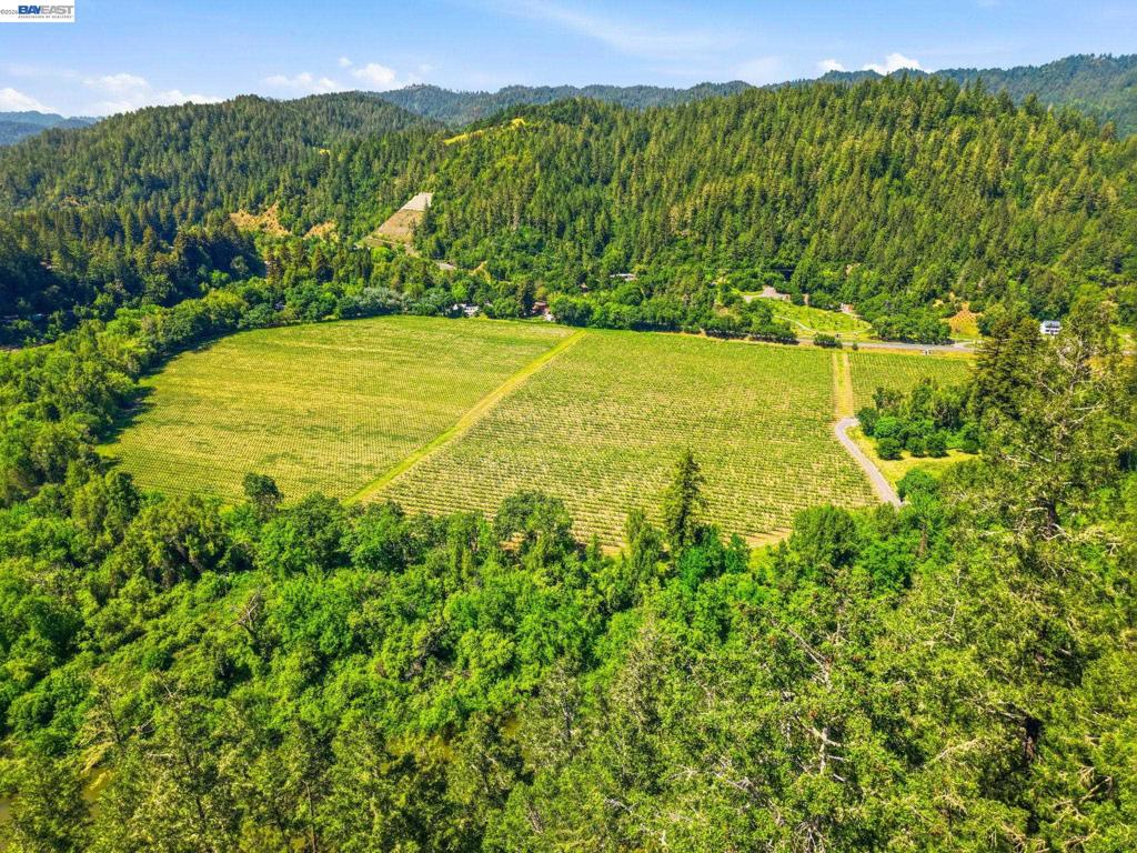 11700 Oak Rd Property Photo 20